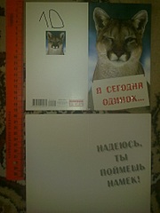 click for enlarge 1536 X 2048 401.0 Kb picture