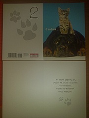 click for enlarge 1536 X 2048 380.0 Kb picture