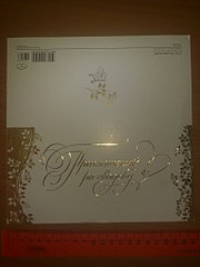 click for enlarge 1536 X 2048 285.9 Kb picture