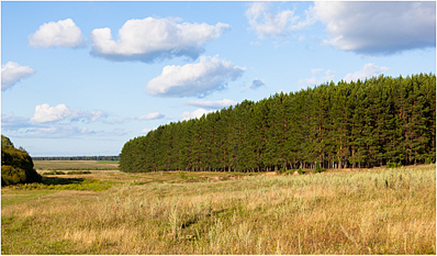 click for enlarge 1920 X 1122 331.5 Kb picture