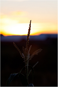 click for enlarge 1835 X 2748 155.9 Kb picture