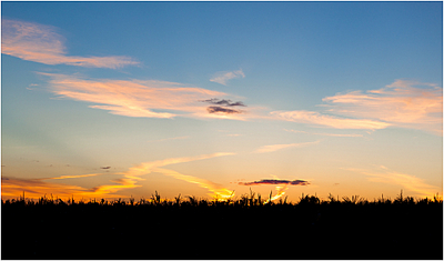 click for enlarge 1920 X 1128  95.2 Kb picture