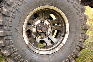 click for enlarge 800 X 533 491.0 Kb picture