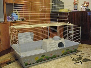 click for enlarge 604 X 453 76.3 Kb picture