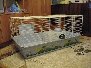 click for enlarge 604 X 453 73.5 Kb picture