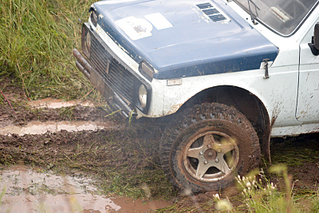 click for enlarge 800 X 533 445.3 Kb picture