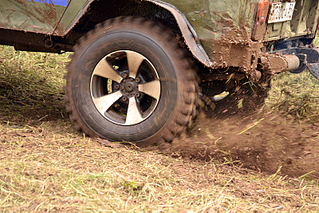 click for enlarge 800 X 533 529.7 Kb picture