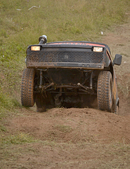 click for enlarge 615 X 800 509.0 Kb picture