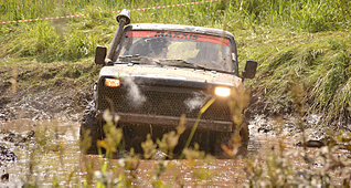 click for enlarge 800 X 427 468.6 Kb picture