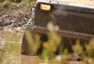 click for enlarge 800 X 547 384.1 Kb picture