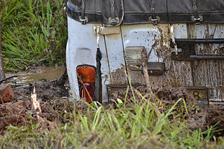 click for enlarge 800 X 533 493.9 Kb picture