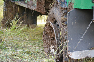 click for enlarge 800 X 533 457.4 Kb picture