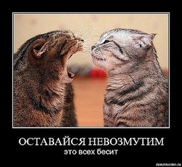 click for enlarge 500 X 458 65.1 Kb picture