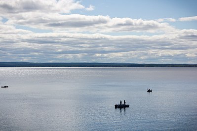 click for enlarge 1280 X 853 168.8 Kb picture