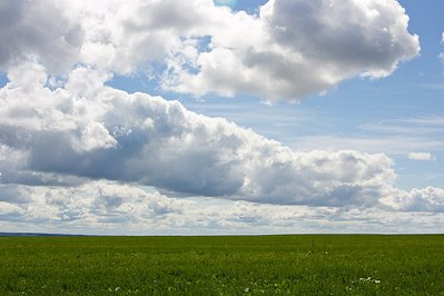 click for enlarge 1280 X 853 154.3 Kb picture