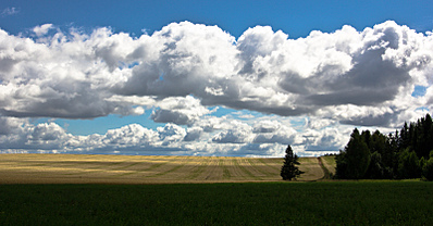 click for enlarge 1600 X 835 520.2 Kb picture