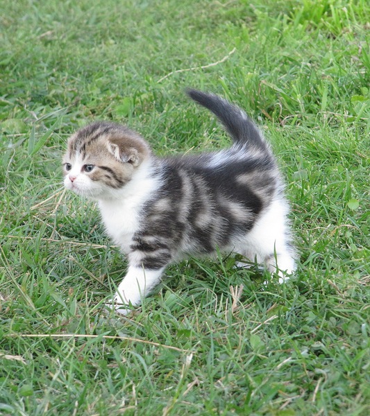 click for enlarge 1920 X 2160 458.0 Kb picture