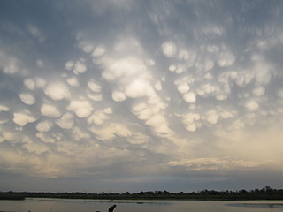 click for enlarge 1920 X 1440 295.7 Kb picture