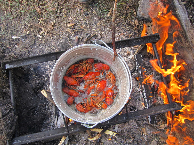 click for enlarge 1920 X 1440 1011.3 Kb picture