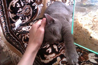 click for enlarge 1920 X 1280 497.5 Kb picture