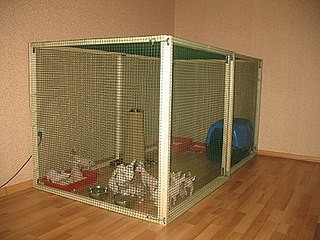 click for enlarge 400 X 300  31.6 Kb picture