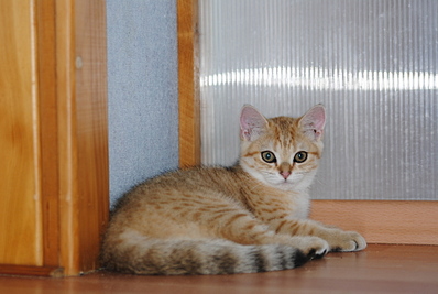 click for enlarge 1920 X 1285 781.2 Kb picture