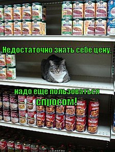 click for enlarge 453 X 604  89.8 Kb picture