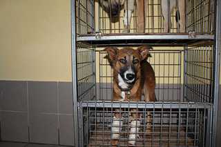 click for enlarge 1200 X 800  82.4 Kb picture