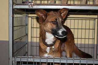 click for enlarge 1200 X 800  77.9 Kb picture