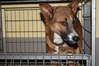 click for enlarge 1200 X 800  83.5 Kb picture