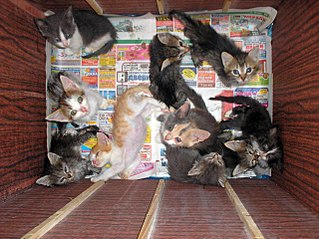 click for enlarge 1280 X 958 287.2 Kb picture