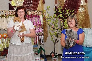 click for enlarge 450 X 298 48.7 Kb picture