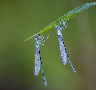click for enlarge 900 X 844 233.3 Kb picture