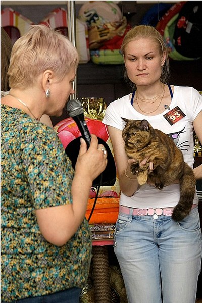 click for enlarge 504 X 756 122.2 Kb picture