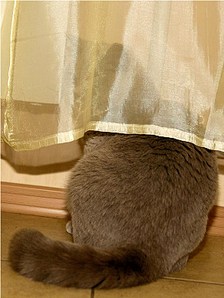 click for enlarge 583 X 778 114.7 Kb picture