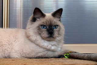 click for enlarge 800 X 533 104.2 Kb picture