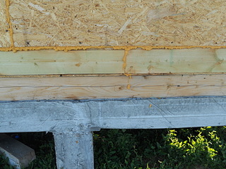 click for enlarge 1920 X 1440 794.5 Kb picture