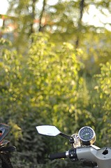 click for enlarge 1920 X 2890 616.5 Kb picture