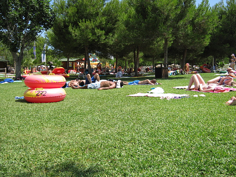 click for enlarge 1600 X 1200 447.9 Kb picture