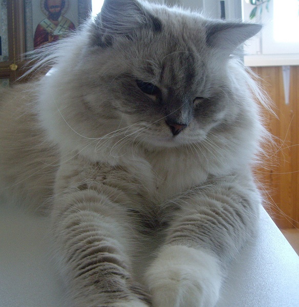 click for enlarge 1920 X 1972 251.3 Kb picture