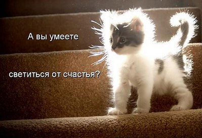 click for enlarge 550 X 376 44.0 Kb picture