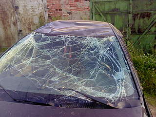 click for enlarge 1600 X 1200 348.6 Kb picture