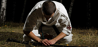click for enlarge 370 X 180  56.2 Kb picture