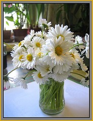 click for enlarge 613 X 800 107.4 Kb picture