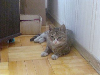 click for enlarge 640 X 480 36.1 Kb picture