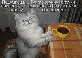 click for enlarge 500 X 354  53.9 Kb picture