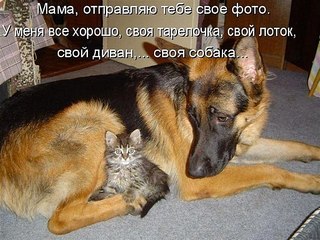 click for enlarge 604 X 453  78.4 Kb picture