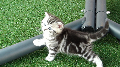 click for enlarge 1920 X 1080 843.1 Kb picture