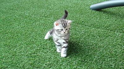 click for enlarge 1920 X 1080 781.0 Kb picture