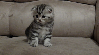 click for enlarge 1920 X 1080 404.3 Kb picture